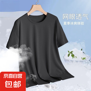 運動速干健身衣男士短袖t恤男夏季跑步網(wǎng)眼透氣半袖體恤衣服男裝 網(wǎng)眼T【黑色】 L