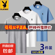 花花公子夏季純棉短袖T恤男仕2025新款圓領(lǐng)體恤休閑百搭寬松上衣 淺灰+白色+淺藍(lán)【純棉】三件裝 4XL 建議【165-180斤】