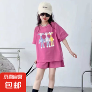 【女童短袖T恤套裝】2025新款夏季卡通韓版洋氣打底寶寶夏裝 瑰紅色 150