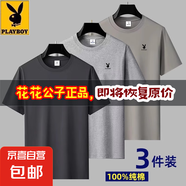 花花公子夏季純棉短袖T恤男仕2025新款圓領體恤休閑百搭寬松上衣 深灰+淺灰+卡其【純棉】三件裝 4XL 建議【165-180斤】