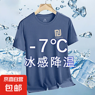 冰絲t恤男夏季薄款涼感短袖網(wǎng)眼透氣運動速干衣薄款男士半袖上衣 CSF-B08霧藍 （冰感升級版） 5XL