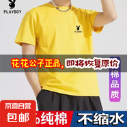 花花公子短袖t恤男士2025夏季新款純棉白色體恤休閑圓領(lǐng)百搭上衣 黃色 3XL 建議【150-165斤】