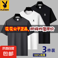花花公子夏季純棉短袖T恤男仕2025新款圓領(lǐng)體恤休閑百搭寬松上衣 深灰+白色+黑色【純棉】三件裝 2XL 建議【135-150斤】