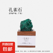 天然水晶瑪瑙礦石標(biāo)本擺件兒童科普禮物原石手工滴膠桌面裝飾擺件 孔雀石款