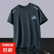 夏季冰絲t恤男圓領(lǐng)速干衣短袖薄款透氣半袖大碼上衣男運(yùn)動(dòng)寬松-SL 雪山灰色【連桿蝴網(wǎng)】 3XL  建議145-160斤