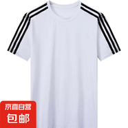 三條杠T恤青年男士夏季薄款冰感黑白色條紋休閑簡約運動班服短袖 白色 【新美短T三杠】 2XL 【建議130-145斤】