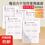 【圖書(shū)】?jì)?yōu)美句子積累字帖大全小學(xué)生專(zhuān)用每日成語(yǔ)高頻字練字帖每日一練好詞好句好段正楷寫(xiě)字一二三年級四五六語(yǔ)文鋼筆楷書(shū)練習硬筆書(shū)法練字本幼小銜接臨摹描紅練字帖 練字帖《常用成語(yǔ)》隨機一本