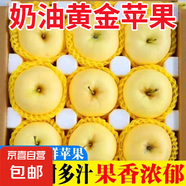 山東煙臺(tái)黃金奶油富士蘋(píng)果脆甜冰糖心很像維納斯蘋(píng)果 果王凈4.5斤80果