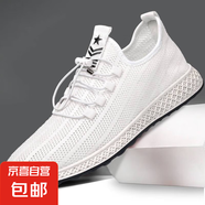 網(wǎng)鞋男士網(wǎng)面透氣大網(wǎng)眼輕便休閑鞋男款網(wǎng)狀夏季薄款運(yùn)動(dòng)鏤空男鞋 白色 單層 2517zl白網(wǎng) 42