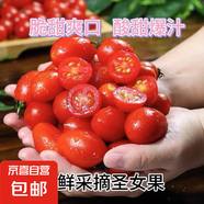 新鮮采摘圣女果櫻桃小番茄蔬菜 帶箱2斤精選果
