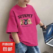 2025男童純棉短袖T恤夏季中大童新款時(shí)尚帥氣卡通印花打底體恤衫 玫紅色-SUTKP三小狗 120