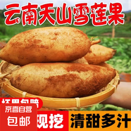 云南高山雪蓮果新鮮來襲，清甜多汁脆爽可口-馬關(guān)橘子 家庭裝 帶箱 9斤 130g+