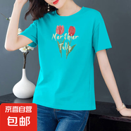 純棉短袖t恤女裝夏季寬松顯瘦圓領(lǐng)半袖打底體恤衫學(xué)生百搭上衣604 湖綠郁金香 3XL 【建議135-145斤】