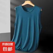 【透氣排汗】網(wǎng)眼速干健身衣男士運動(dòng)短袖t恤男寬松體恤休閑背心 孔雀藍【背心款】 L （95-110斤）