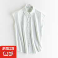 高級(jí)法式飛飛袖襯衫女上衣夏季新款寬松顯瘦百搭翻領(lǐng)襯衫 冰川綠 L