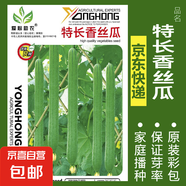 可食用薄荷種子留蘭香檸檬苗貓薄荷四季播種室內陽(yáng)臺盆栽蔬菜籽子 特長(cháng)香絲瓜約20粒