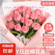 母親節(jié)禮物郁金香花束扭扭棒diy材料包手工花束情侶情人節(jié)女神節(jié)禮物手工扭編織毛根郁金香花朵 【郁金香花20朵】材料包