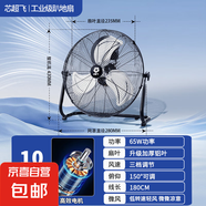 電風扇工業(yè)風扇趴地扇芯超飛強力風扇臺式趴地風力大功率落地扇商用工業(yè)工地家用 黑色10寸普通電機無風不推薦 雙滾珠軸承電機防雨防塵防漏電加厚加密網(wǎng)罩