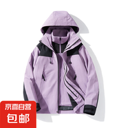 情侶款外套2024新款三合一秋冬戶外登山服可拆卸外套工服 女款丁香紫 M