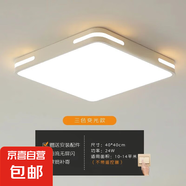 2025年led方形吸頂燈簡約現(xiàn)代主臥室燈房間走廊廚房陽臺過道燈具 【白色】40*40厘米-24W-三色光