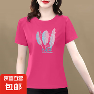 【送媽媽禮物】純棉短袖t恤女2025夏季百搭大碼女裝印花媽媽裝 玫紅羽毛 L 【建議100-115斤】