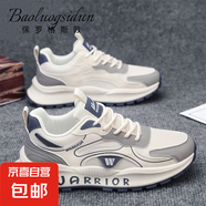 保羅格斯敦男鞋夏季透氣網(wǎng)面跑步鞋運(yùn)動(dòng)鞋板鞋百搭厚底休閑老爹鞋 2503白灰色 41