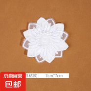白色蕾絲補(bǔ)丁貼免縫自粘修補(bǔ)蚊帳裙子紗裙破洞歐根紗刺繡花朵布貼 13#（1個(gè)裝）自粘免縫