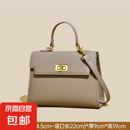 春夏女包包高級感斜挎單肩包百搭手拎包女式包通勤bag箱包 大象灰
