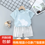 【純棉兒童套裝】兒童短袖套裝純棉夏季男女童T恤服裝 暗藍小白象 55#/80cm(建議身高73-80cm)