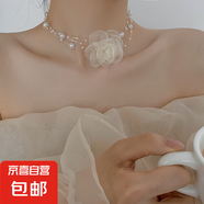 法式輕奢蝴蝶鑲鉆珍珠項鏈小眾氣質(zhì)鎖骨鏈百搭小清新高級感飾品女 9#項鏈-白色