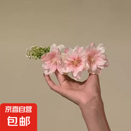 百花密春-明媚黃色花朵發(fā)夾氛圍感側(cè)邊碎發(fā)夾頭花盤發(fā)旅行發(fā)卡 大花朵發(fā)梳粉色1個(gè)