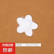 白色蕾絲補(bǔ)丁貼免縫自粘修補(bǔ)蚊帳裙子紗裙破洞歐根紗刺繡花朵布貼 3#（1個(gè)裝）自粘免縫