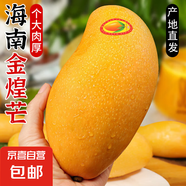 金煌芒新鮮水果 金煌芒果應(yīng)當(dāng)季生鮮 帶箱4斤 中大果【單果200-300g】