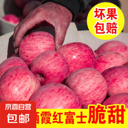 山東煙臺(tái)紅富士蘋果棲霞蘋果脆甜紅冰糖心水果生鮮條紋片紅混發(fā) 【嘗鮮裝】紅富士帶箱4斤(75+)
