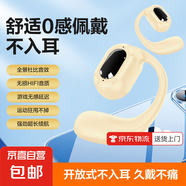 【爆款升級京東物流】無(wú)線(xiàn)藍牙耳機左耳 OWS掛耳式 開(kāi)放式不入耳更舒適 運動(dòng)騎行快遞外賣(mài)適用 膚色-基礎款-不可旋轉適用左耳