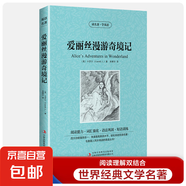 中英文世界名著全套讀名著學英語 小王子傲慢與偏見簡愛飄紅與黑中英文對照英漢互譯雙語圖書世界經典文學名著 讀名著學英語-愛麗絲漫游奇境記