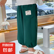 2025新款兒童夏季防蚊褲燈籠褲男女童薄款闊腿束腳褲15xk363 泡泡棉褲墨綠色 110 cm