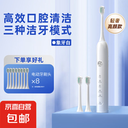 【續(xù)航30天】電動(dòng)牙刷聲波磁懸浮震動(dòng)馬達(dá)超美的牙刷全自動(dòng)充電防水牙刷兒童學(xué)生宿舍成人家用男女 象牙白【全身IPX7防水+8刷頭】 磁懸浮高配電動(dòng)牙刷大牌性價(jià)比平替款