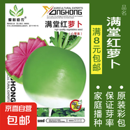 8424麒麟無籽美都西瓜種籽大全種子水果瓜果苗小南方蔬菜苗秧種孑 滿堂紅蘿卜約300粒