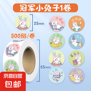 兒童獎(jiǎng)勵(lì)貼紙女孩小學(xué)生幼兒園獎(jiǎng)勵(lì)貼小紅花表?yè)P(yáng)貼畫大拇指寶寶鼓勵(lì)孩子學(xué)習(xí)笑臉卡通圖案一年級(jí)教師用裝飾 1卷小兔子