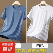 啄木鳥冰絲短袖T恤男夏季薄款速干網(wǎng)眼運(yùn)動(dòng)透氣涼感體恤 霧蘭+白色【2件裝】 2XL