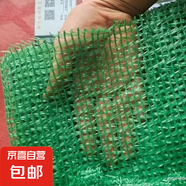 以琛蓋土網(wǎng)防塵網(wǎng)筑綠網(wǎng)覆蓋網(wǎng)綠化網(wǎng)密目網(wǎng)塵網(wǎng)工地建筑安全網(wǎng) 4針綠色（實(shí)惠款） 5米寬整卷50米長(zhǎng)