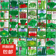 【隨種隨吃】調(diào)料菜種子組合春季四季易種耐熱陽臺盆栽通種蔬菜 大葉香菜種子2包約2000粒 一包約1000粒