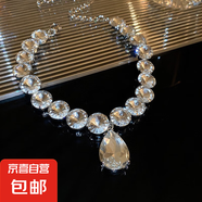法式鑲鉆花朵珍珠項(xiàng)鏈時(shí)尚輕奢氣質(zhì)鎖骨鏈小眾送女友禮物飾品配飾 30#項(xiàng)鏈-銀色