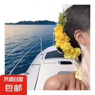 百花密春-明媚黃色花朵發(fā)夾氛圍感側(cè)邊碎發(fā)夾頭花盤發(fā)旅行發(fā)卡 大花朵發(fā)梳黃色1個(gè)