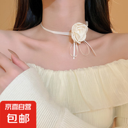 法式輕奢蝴蝶鑲鉆珍珠項鏈小眾氣質(zhì)鎖骨鏈百搭小清新高級感飾品女 12#項鏈-白色