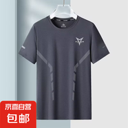 夏季冰絲t恤男圓領(lǐng)速干衣短袖薄款透氣半袖大碼上衣男運動寬松潮 凱賓度-T39灰色（涼感冰絲短袖） 4XL （建議160-175斤以內(nèi)）