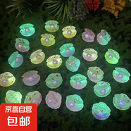 仿真夜光珍珠七彩貝殼兒童迷你微縮小擺件洞洞鞋配件發(fā)夾發(fā)繩材料 彩色珍珠貝殼【5個(gè)】