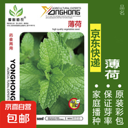 可食用薄荷種子留蘭香檸檬苗貓薄荷四季播種室內(nèi)陽臺盆栽蔬菜籽子 薄荷1包裝約80粒