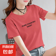 夏季純棉短袖t恤女2025新款寬松百搭印花體恤衫打底衫全棉上衣服 磚紅【PURE英文】 4XL 【建議135-155斤】
